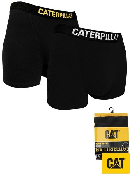CAT-BOXERS-B-big.jpg
