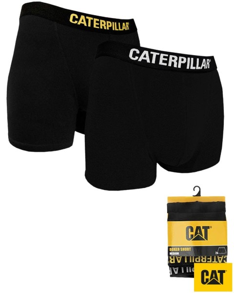 CAT-BOXERS-B-huge.jpg