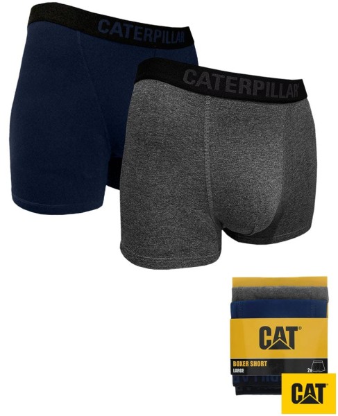CAT-BOXERS-SG-huge.jpg