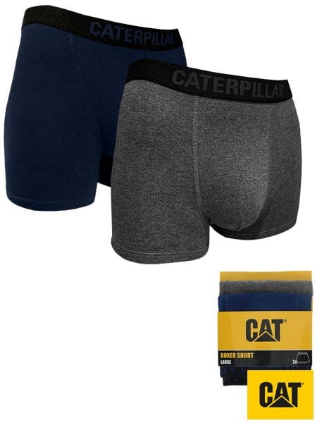 CAT-BOXERS-SG-big.jpg
