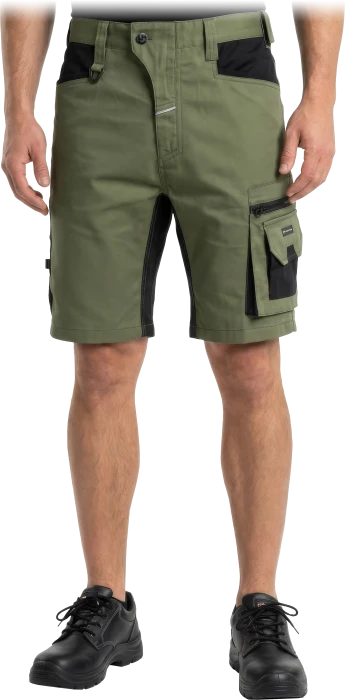 LH-FACTOR-TS-Z-max.png