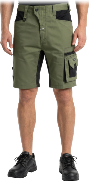 LH-FACTOR-TS-Z-max.png