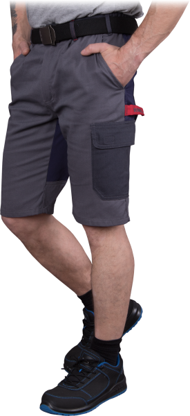 BOMER-TS-SDSG-max.png