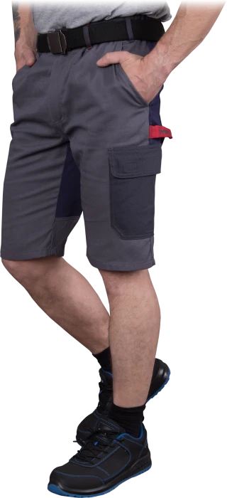 BOMER-TS-SDSG-max.png