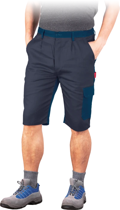 BOMULL-TS-DSN-max.png