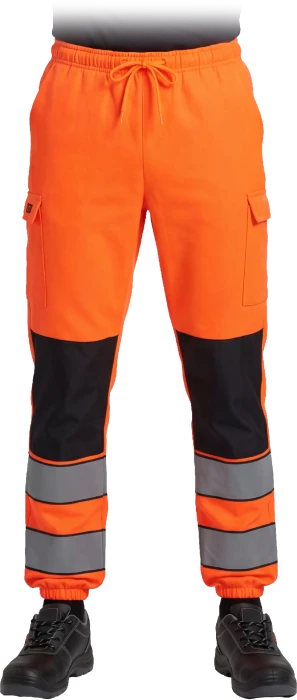 LUMIS-P-max.png