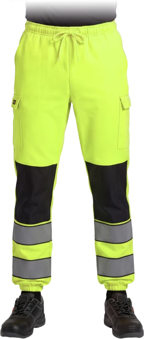 LUMIS-Y-max.png