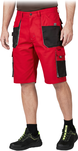 LH-FMN-TS-CBS-max.png