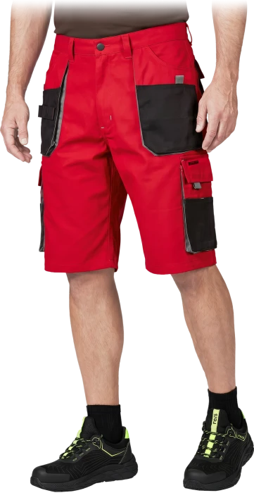 LH-FMN-TS-CBS-max.png