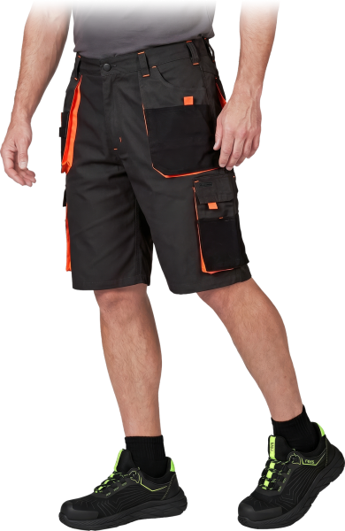LH-FMN-TS-SBP-max.png
