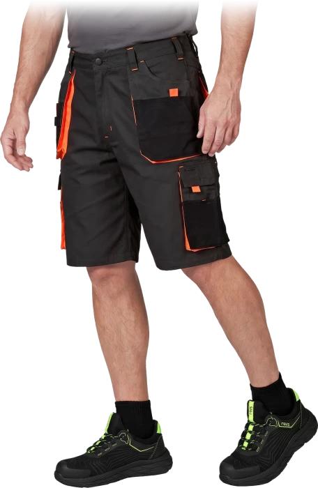 LH-FMN-TS-SBP-max.png