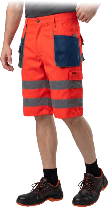 LH-FMNX-TS-CGS-max.png