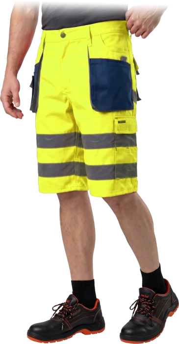 LH-FMNX-TS-YGS-max.png