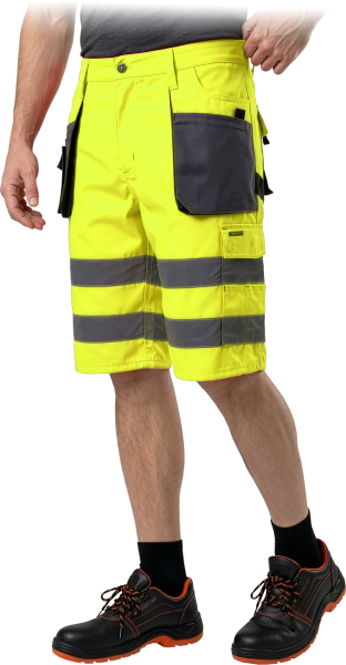 LH-FMNX-TS-YSB-max.png