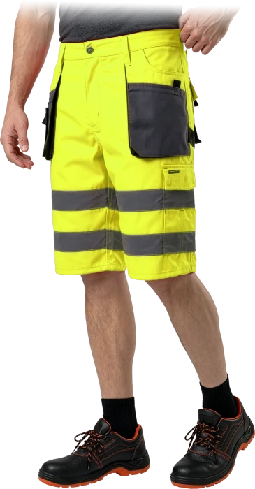 LH-FMNX-TS-YSB-max.png