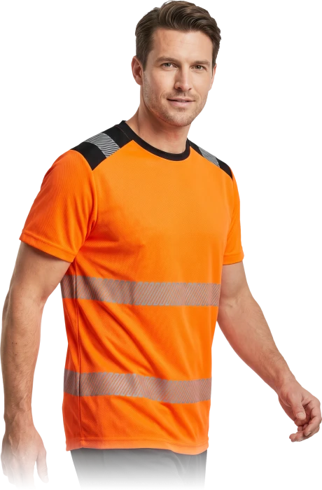 IGUANA-TS-P-max.png