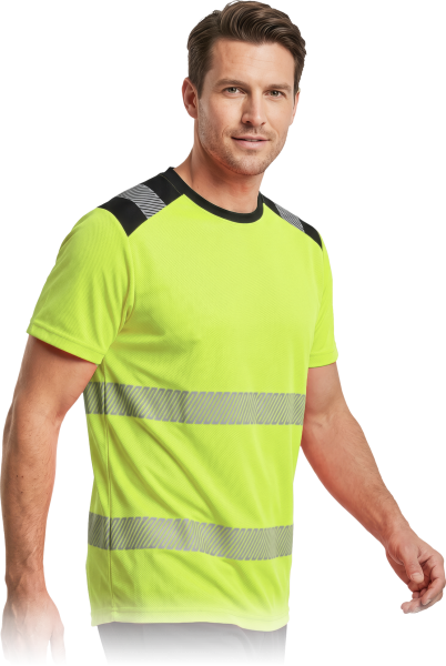 IGUANA-TS-Y-max.png