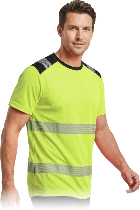 IGUANA-TS-Y-max.png