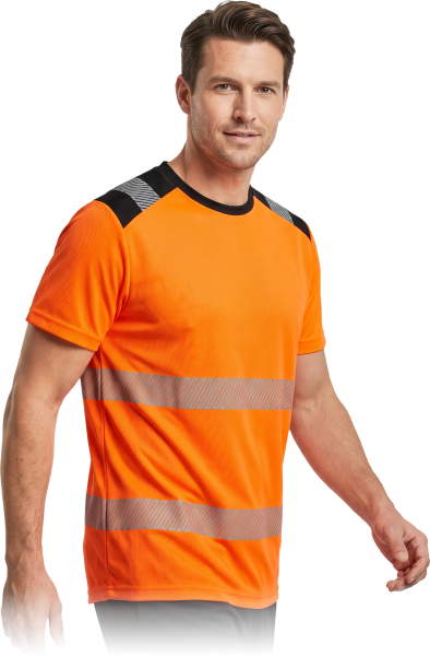 IGUANA-TS-P-max.png