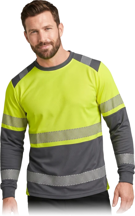 IGUANA-LS-YS-max.png
