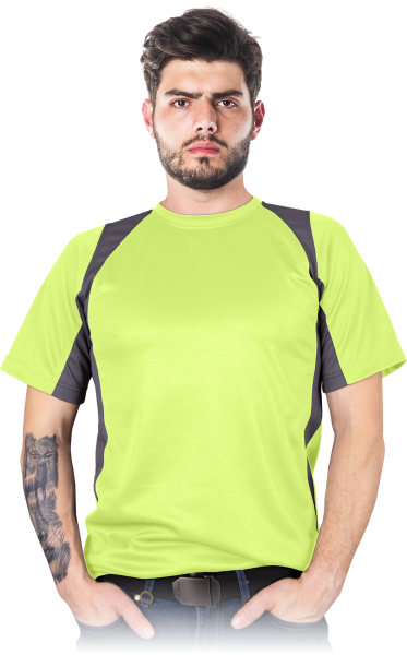 TSMODERN-YS-max.png