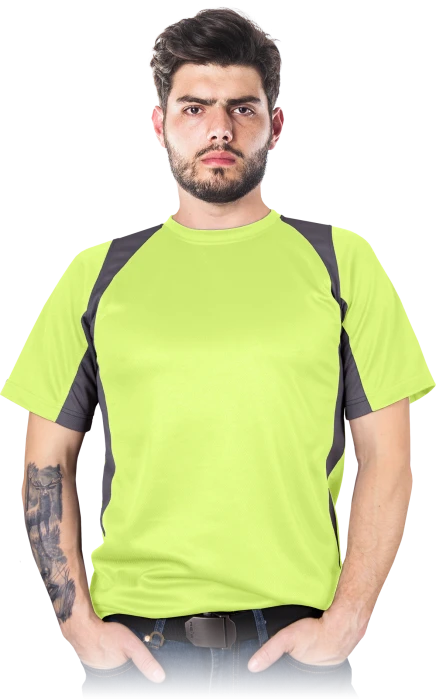 TSMODERN-YS-max.png